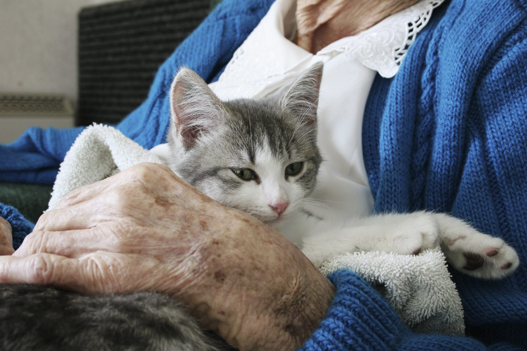 animal-assisted-therapy-and-activities-wagbrag