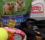 puppy supplies