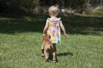 puppy walking with child