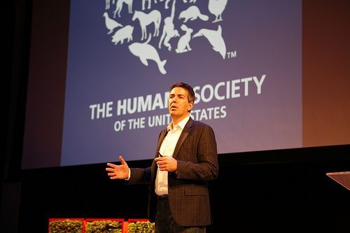 Wayne Pacelle speaking to the Humane Society