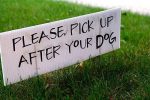 pick up after your dog sign