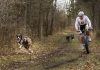 bikejoring race with dogs