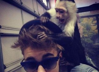 justin beiber and monkey
