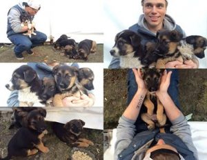 Olympic Skier rescues dogs 