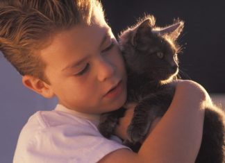 helping your child cope with the loss of a pet