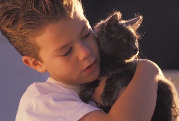 helping your child cope with the loss of a pet