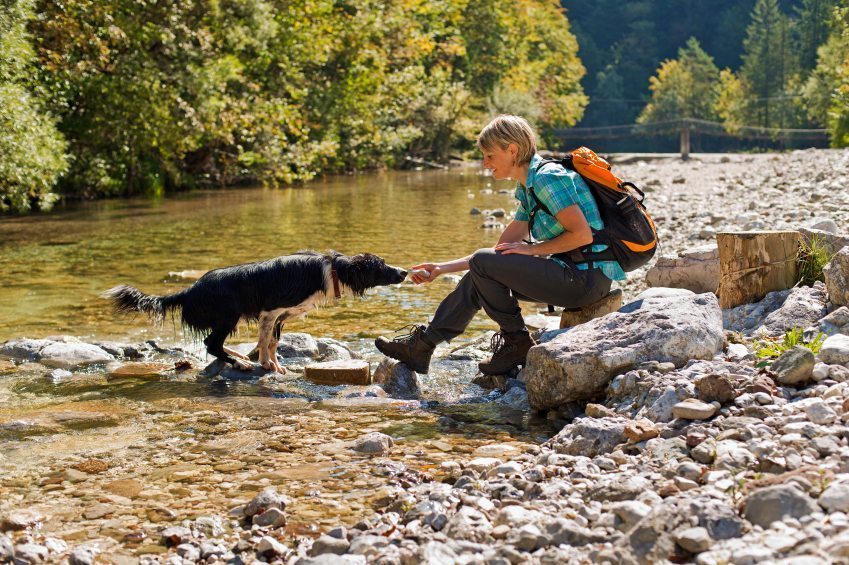 Hike with your dog