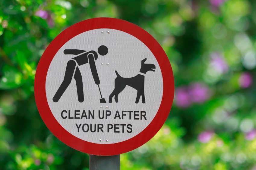 Clean Up After Your Pets