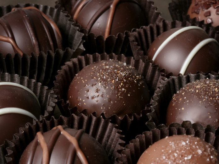 Why Are Dogs Allergic to Chocolate?