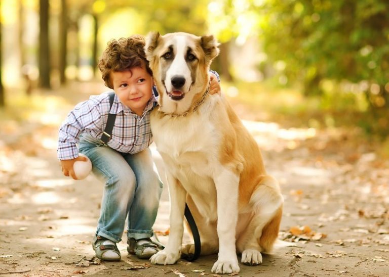Top 11 of Best Dog Breeds for Kids