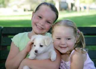 emotional intelligence, kids with pets