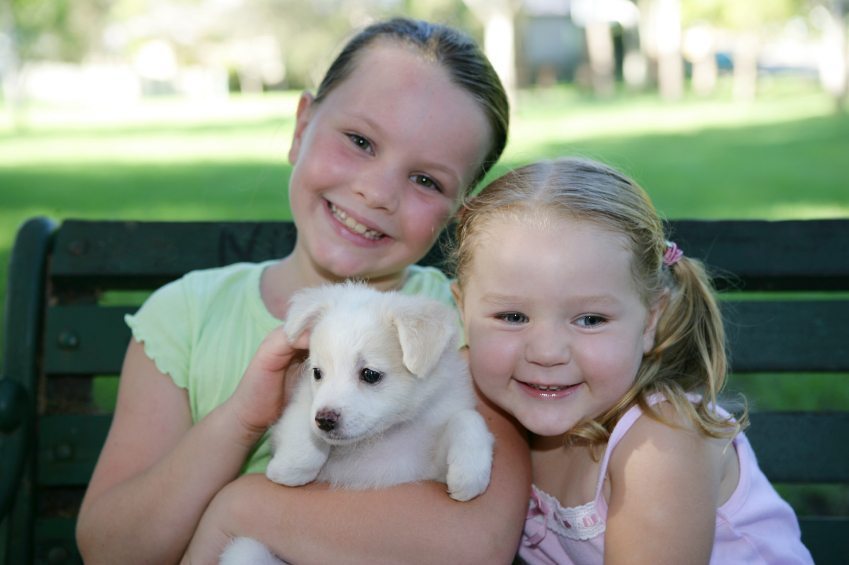Kids with Pets Have Higher Emotional Intelligence, emotional intelligence