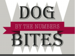 dog bite infographic