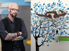 catisfy to satisfy, jackson galaxy