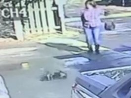 brandi chin fairfield california