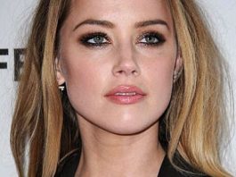 johnny depp amber heard dogs