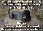 cute dog memes