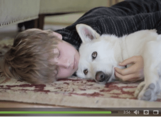 dog video, german shepherd rescued
