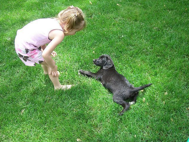 kids with pets, child development, how kids benefit from pets, pets help child development