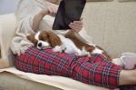 Lady holding tablet and cavalier dog