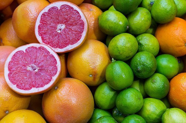 foods that are harmful to dogs, citrus fruit
