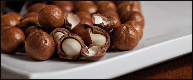 foods that are harmful to dogs, macadamia nuts,