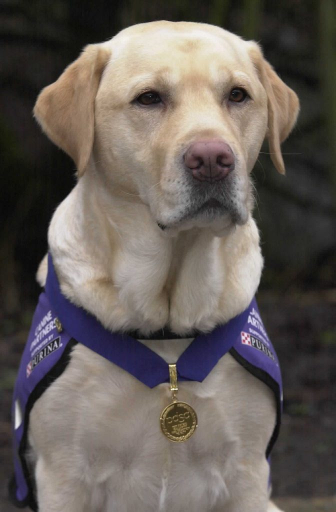 Endal, famous service dog