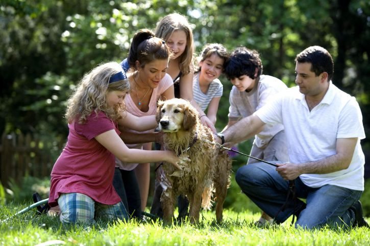puppy training tips for kids, dog training tips for kids