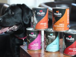 nulo dog food review