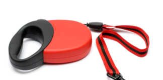 retractable dog leash, is restartable leashes safe for dogs