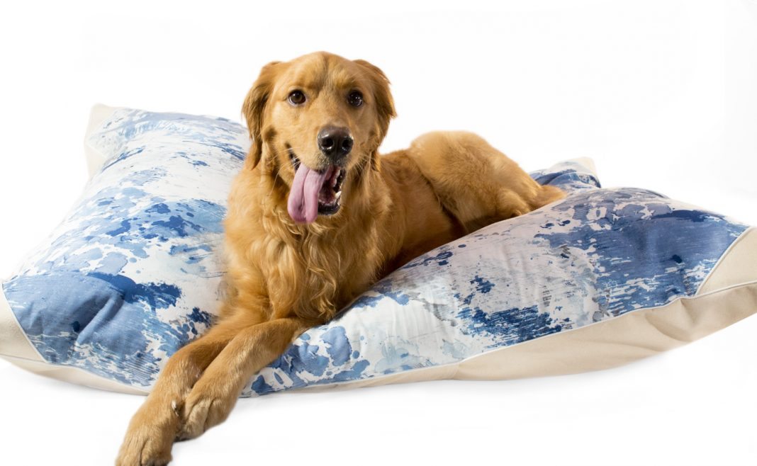 Luxury Dog Bed Giveaway! Limited Time Petoji Dog Bed Offer