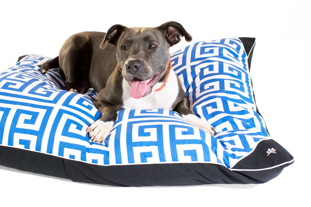 Luxury Dog Bed Give-away! Limited Time Petoji Dog Bed Offer