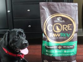 rawrev dog food review, wellness core rawrev review