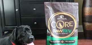 rawrev dog food review, wellness core rawrev review