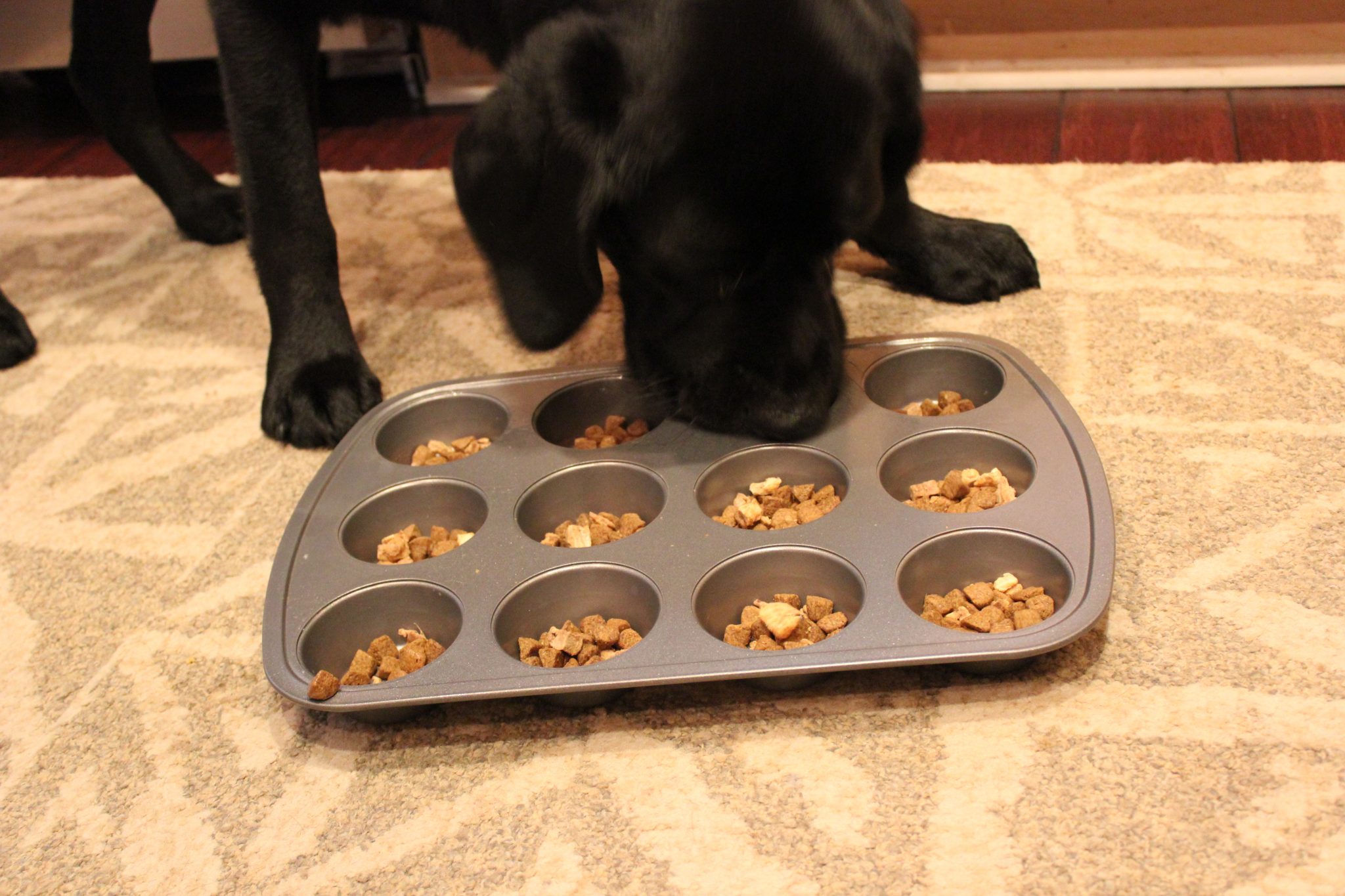 Wellness Core RawRev Dog Food Review Join The Raw Revolution Wagbrag