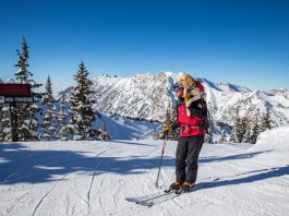 National ski patrol dogs